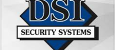 DSI Security Systems Inc