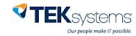 Tek Systems Group